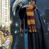Prime 1 Harry Potter Collectibles 1/6 Harry With Hedwig - immagine 12