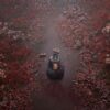 Silent Hill F Ps5 - immagine 5